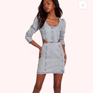 NWT! Amanda Uprichard Alabama Dress